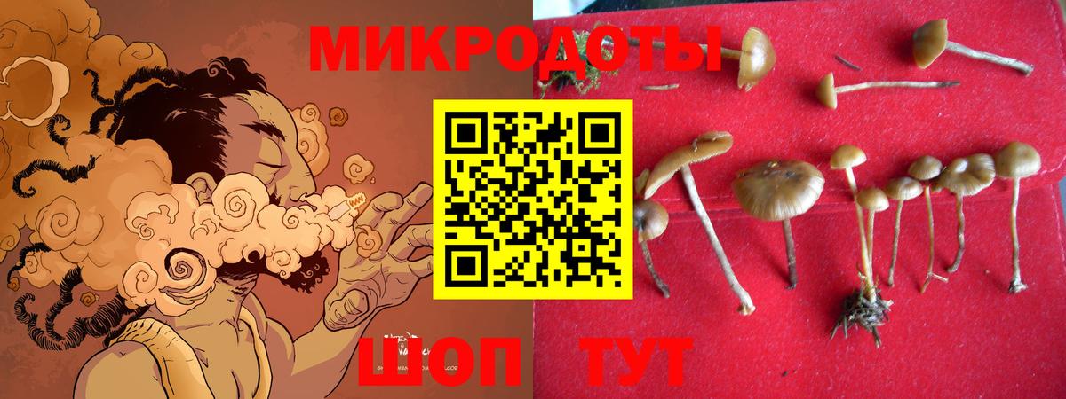 Псилоцибиновые грибы ЛСД  наркошоп  Сургут  Вход с VPN 