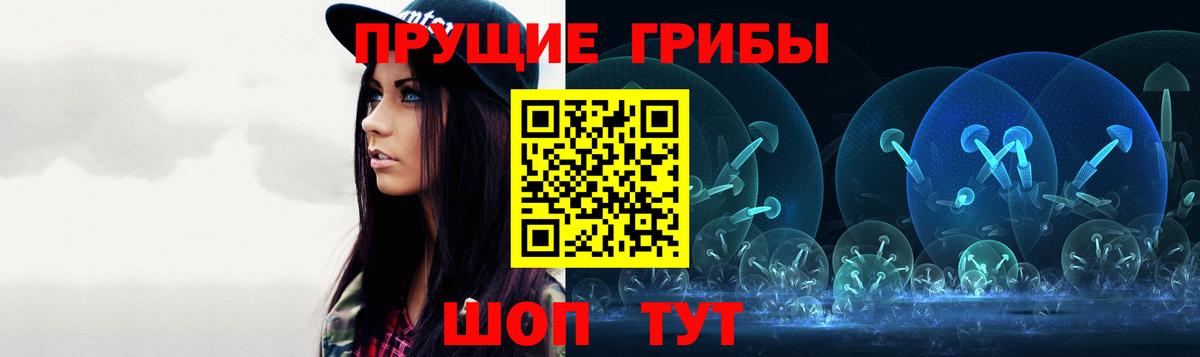 Галлюциногенные грибы Psilocybine cubensis Сургут